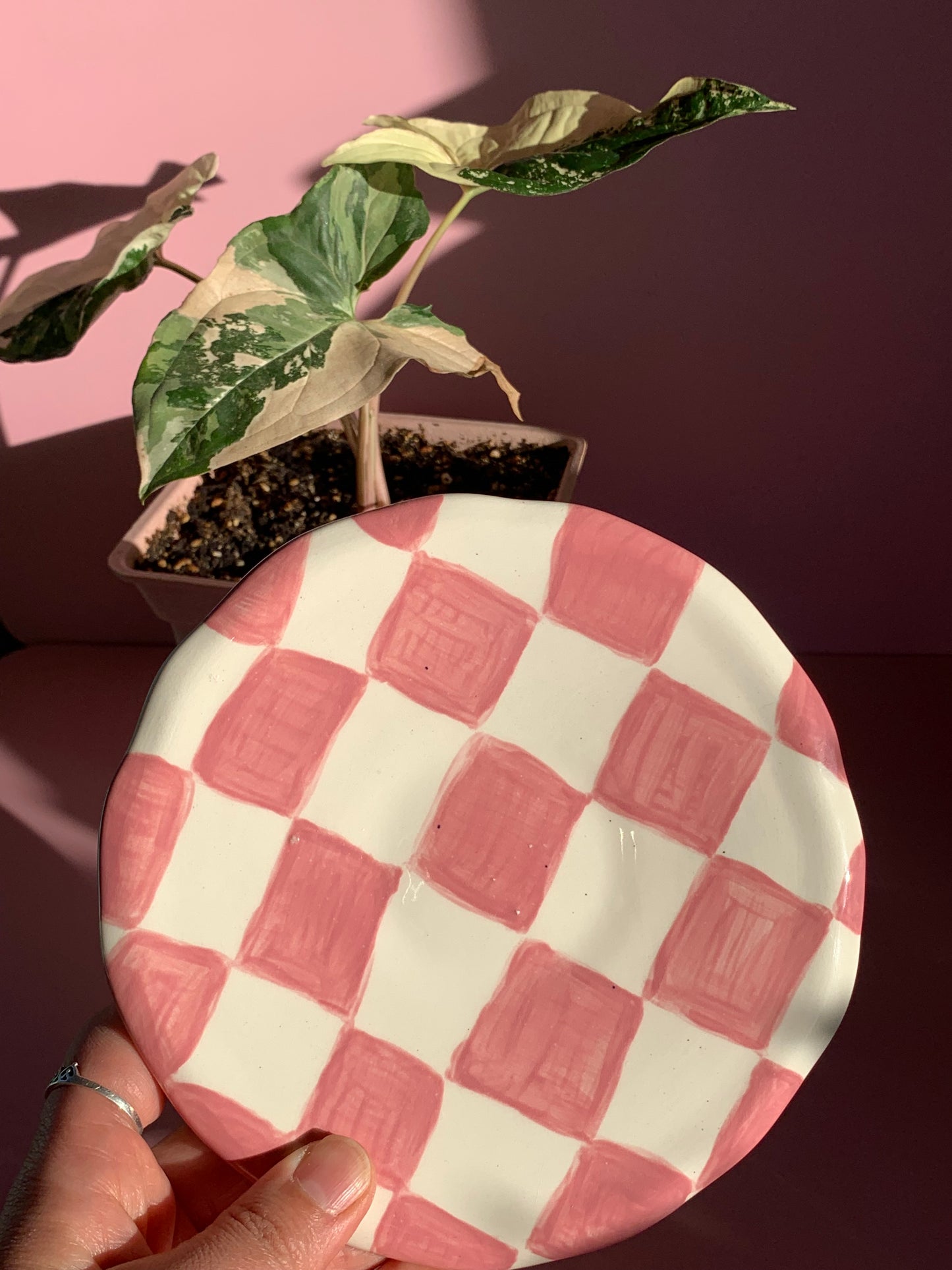 Plato de té